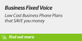 Business Fixed Voice